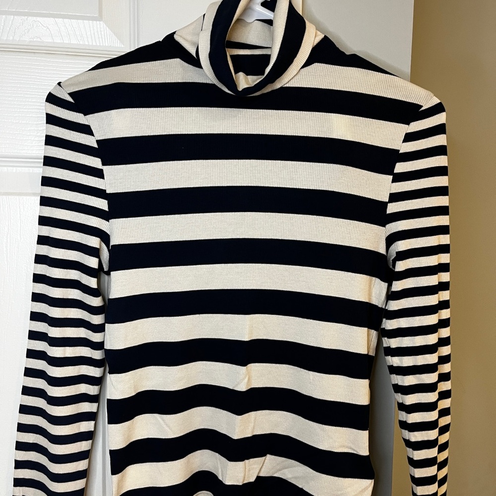 Madewell Striped Turtleneck Sweater